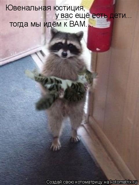 Котоматрица: Ювенальная юстиция, у вас ещё есть дети... тогда мы идём к ВАМ....