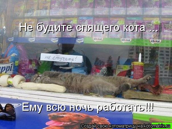 Котоматрица: Не будите спящего кота ... Ему всю ночь работать!!!