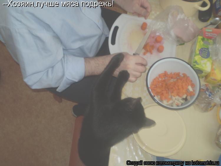 --Хозяин,лучше мяса подрежь!... Котоматрица: --Хозяин,лучше мяса подрежь!