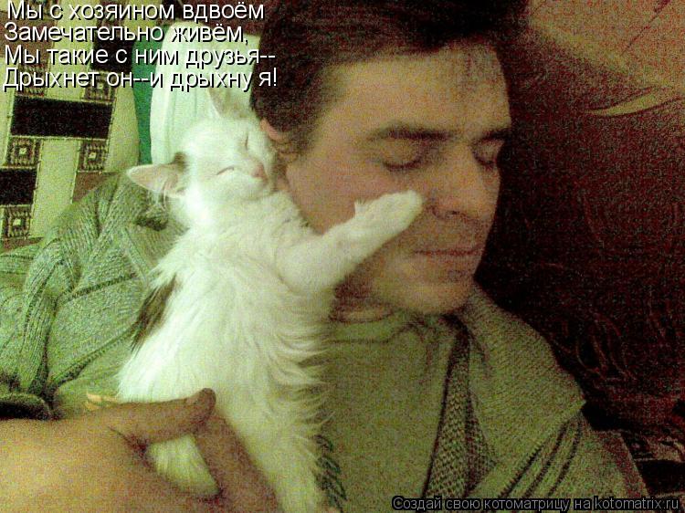 Мы с хозяином вдвоём Замечательно живём, Мы такие с ним друзья-- Дрыхнет он--и дрыхну я!... Котоматрица: Мы с хозяином вдвоём Замечательно живём, Мы такие с ним друзья-- Дрыхнет он--и дрыхну я!