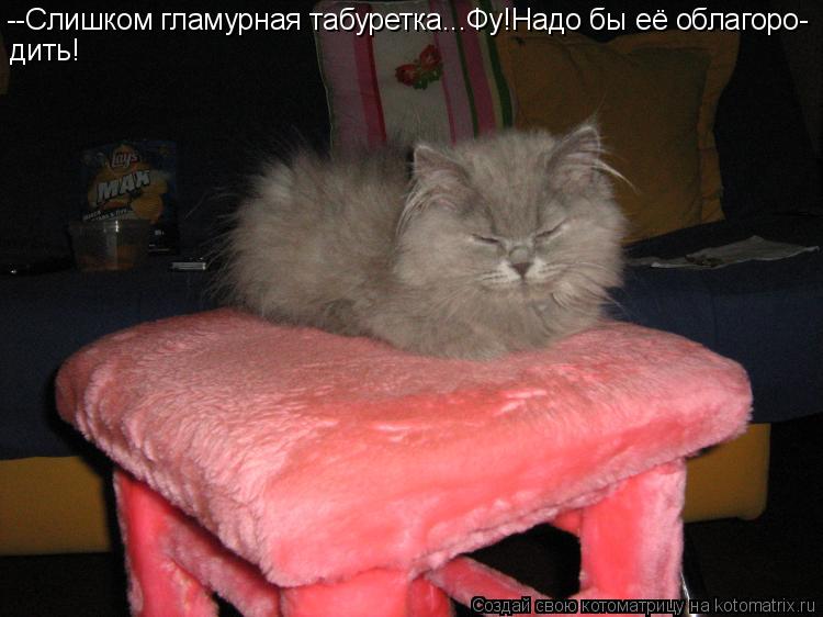 --Слишком гламурная табуретка...Фу!Надо бы её облагоро- дить!... Котоматрица: --Слишком гламурная табуретка...Фу!Надо бы её облагоро- дить!