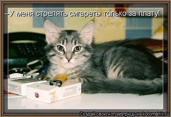 --У меня стрелять сигареты только за плату!... Котоматрица: --У меня стрелять сигареты только за плату!