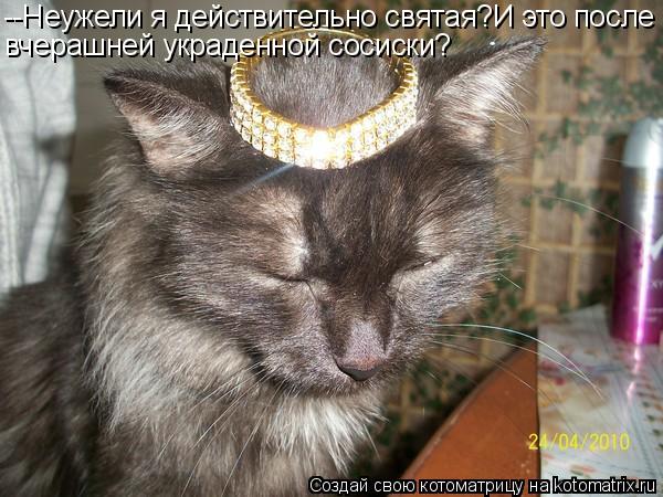 --Неужели я действительно святая?И это после вчерашней украденной сосиски?... Котоматрица: --Неужели я действительно святая?И это после вчерашней украденной сосиски?