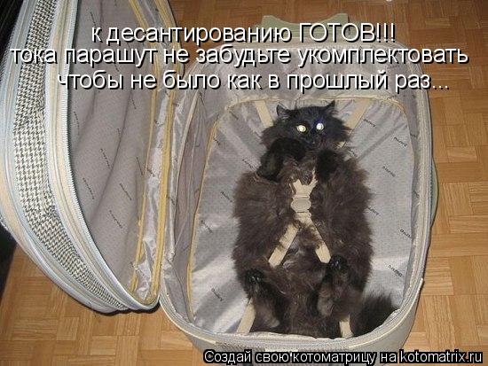 Котоматрица: к десантированию ГОТОВ!!! тока парашут не забудьте укомплектовать  чтобы не было как в прошлый раз...