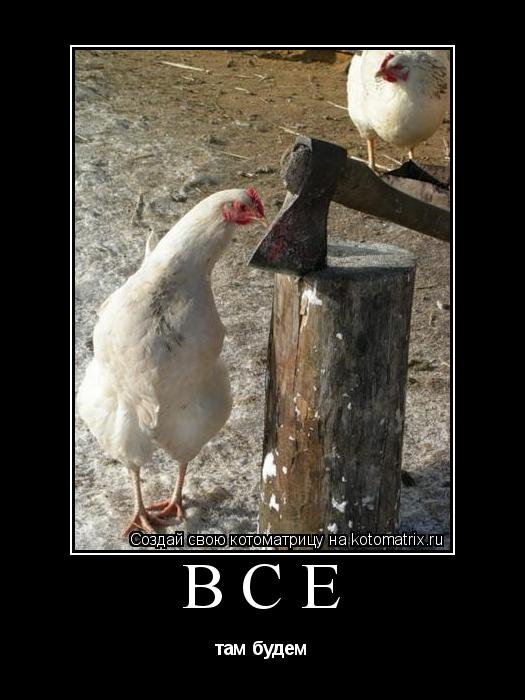 все там будем... Котоматрица: все там будем