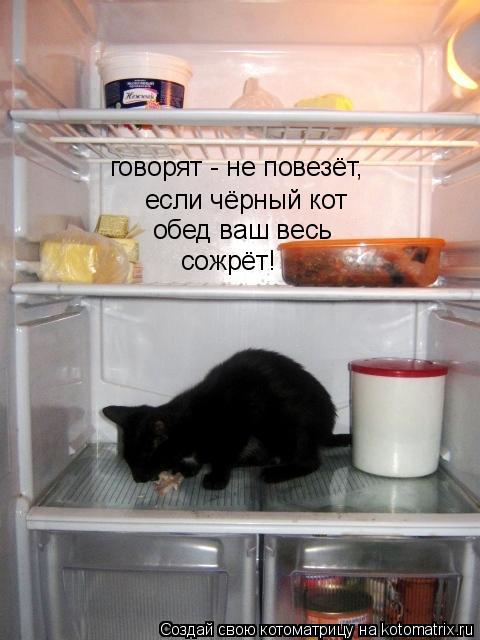 Котоматрица: говорят - не повезёт,  если чёрный кот обед ваш весь сожрёт!
