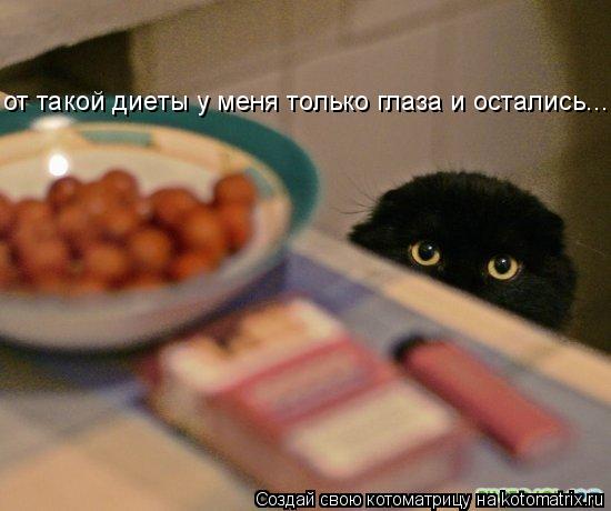 Котоматрица: от такой диеты у меня только глаза и остались...