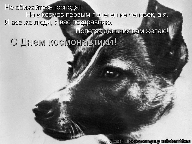 Котоматрица: Не обижайтесь господа!  Но в космос первым полетел не человек, а я.  И все же люди, я вас поздравляю.  Полетов дальних вам желаю!  С Днем космона