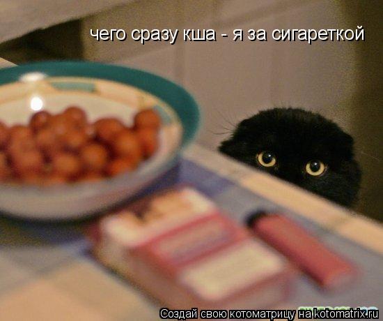 Котоматрица: чего сразу кша - я за сигареткой