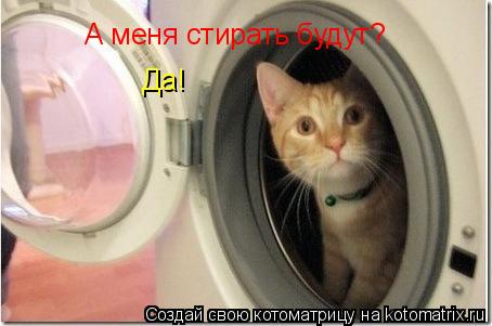 Котоматрица: А меня стирать будут? Да!