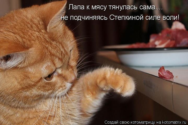 Котоматрица: Лапа к мясу тянулась сама.... не подчиняясь Степкиной силе воли!