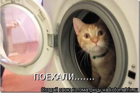 ПОЕХАЛИ.......... Котоматрица: ПОЕХАЛИ.......