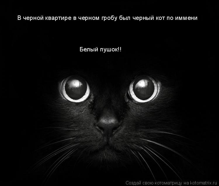 В черной квартире в черном гробу был черный кот по иммени Белый пушок!!... Котоматрица: В черной квартире в черном гробу был черный кот по иммени Белый пушок!!