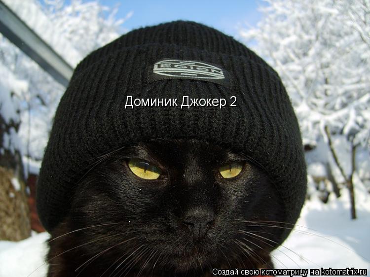 Доминик Джокер 2... Котоматрица: Доминик Джокер 2