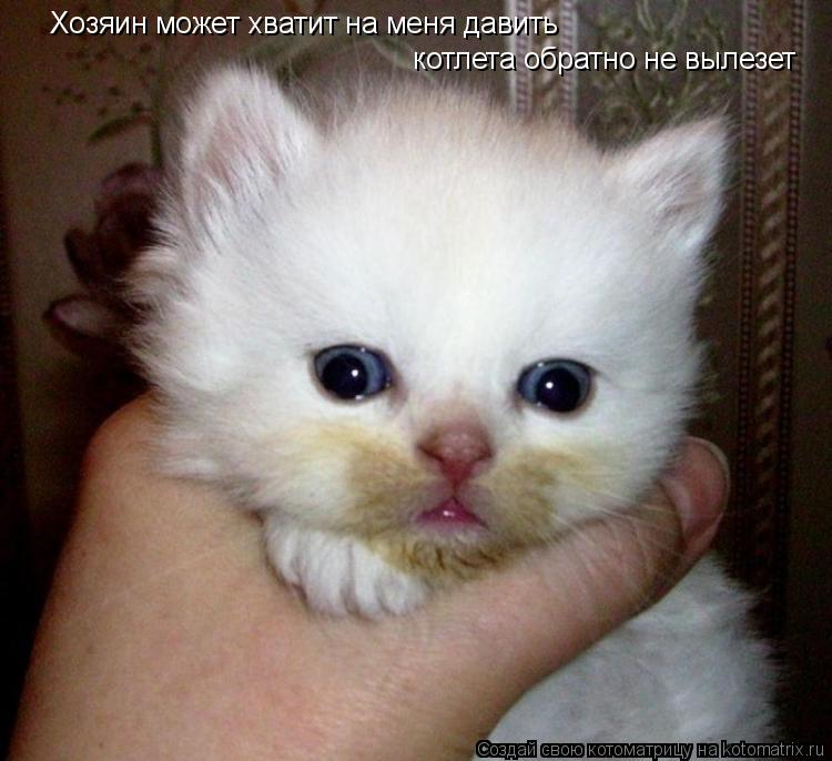 Хозяин может хватит на меня давить котлета обратно не вылезет... Котоматрица: Хозяин может хватит на меня давить котлета обратно не вылезет