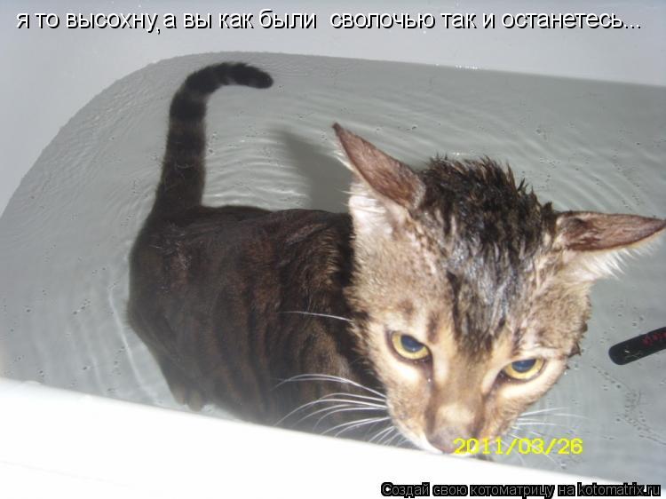 я то высохну а вы как были сволочью так и останетесь... ,... Котоматрица: я то высохну а вы как были сволочью так и останетесь... ,