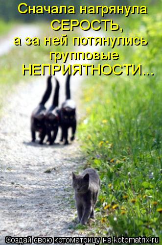 Сначала нагрянула СЕРОСТЬ, а за ней потянулись групповые НЕПРИЯТНОСТИ...... Котоматрица: Сначала нагрянула СЕРОСТЬ, а за ней потянулись групповые НЕПРИЯТНОСТИ...