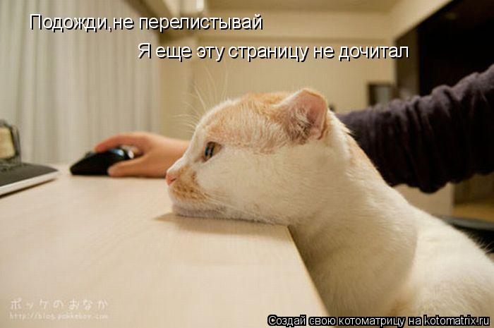 Котоматрица: Подожди,не перелистывай Я еще эту страницу не дочитал