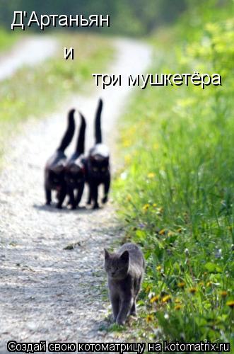 три мушкетёра Д'Артаньян и... Котоматрица: три мушкетёра Д'Артаньян и