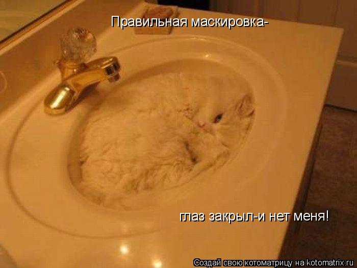 Котоматрица: Правильная маскировка- глаз закрыл-и нет меня!