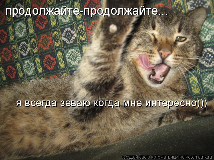 Котоматрица: продолжайте-продолжайте... я всегда зеваю когда мне интересно)))