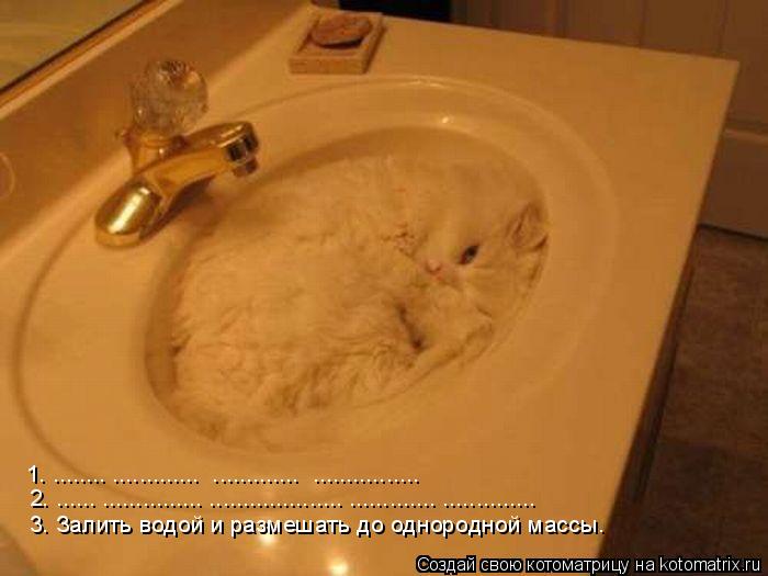 Котоматрица: 1. ........ .............  .............  ................ 2. ...... ............... .................... ............. .............. 3. Залить водой