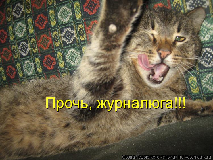 Котоматрица: Прочь, журналюга!!!