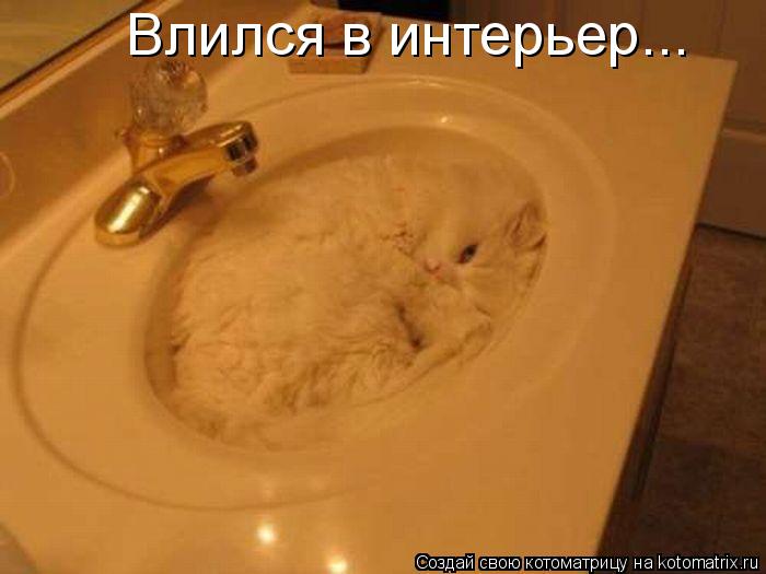 Котоматрица: Влился в интерьер...
