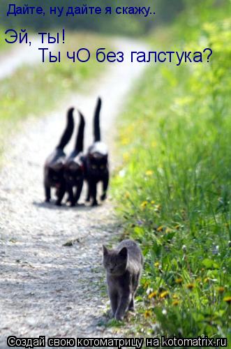 Котоматрица: Дайте, ну дайте я скажу.. Эй, ты! Ты чО без галстука?