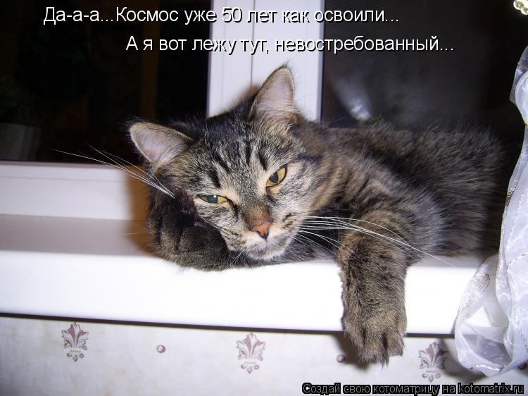 Котоматрица: Да-а-а...Космос уже 50 лет как освоили... А я вот лежу тут, невостребованный...