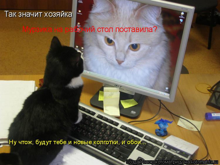 Котоматрица: Так значит хозяйка  Мурзика на рабочий стол поставила?  Ну чтож, будут тебе и новые колготки, и обои...