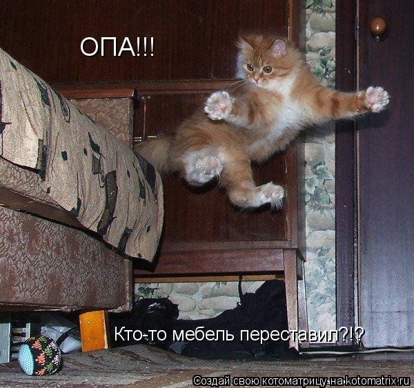 Котоматрица: ОПА!!!  Кто-то мебель переставил?!?