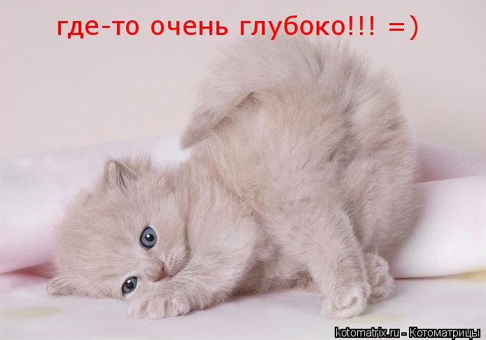 Котоматрица: где-то очень глубоко!!! =)