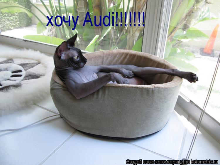 Котоматрица: хочу Audi!!!!!!!