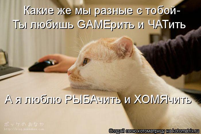 Котоматрица: Какие же мы разные с тобой- Ты любишь GAMEрить и ЧАТить А я люблю РЫБАчить и ХОМЯчить