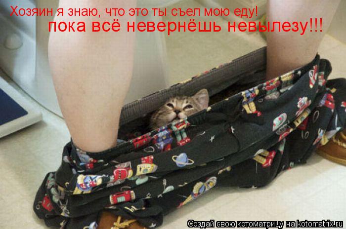 Котоматрица: Хозяин я знаю, что это ты съел мою еду! пока всё невернёшь невылезу!!!