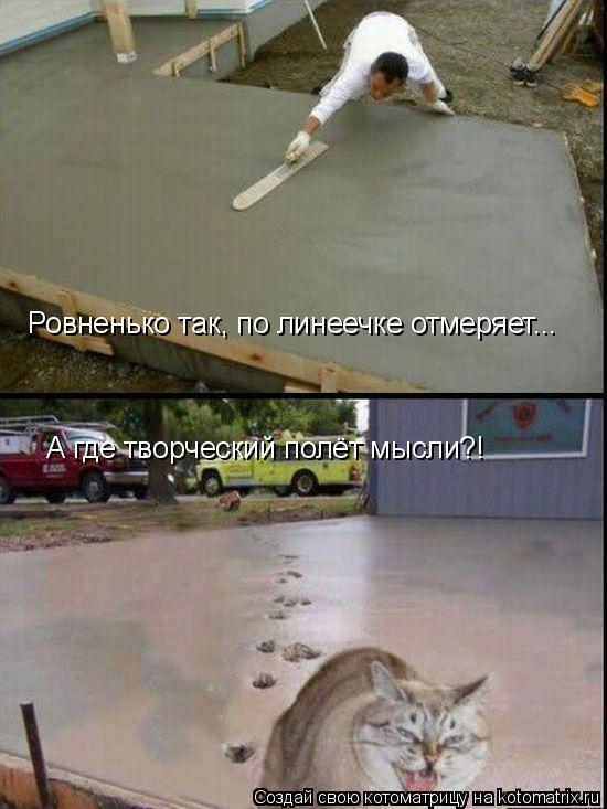Ровненько так, по линеечке отмеряет... А где творческий полёт мысли?!... Котоматрица: Ровненько так, по линеечке отмеряет... А где творческий полёт мысли?!