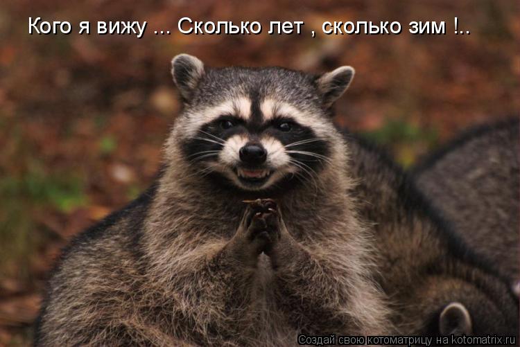 Котоматрица: Кого я вижу ... Сколько лет , сколько зим !..