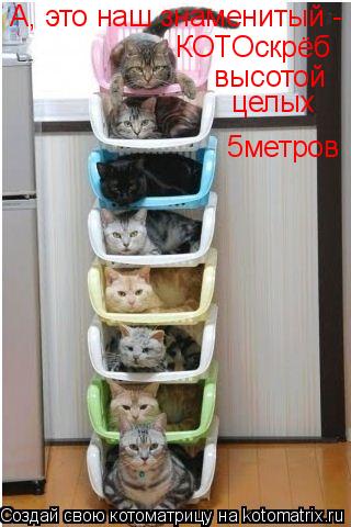 Котоматрица: А, это наш знаменитый - КОТОскрёб высотой целых  5метров
