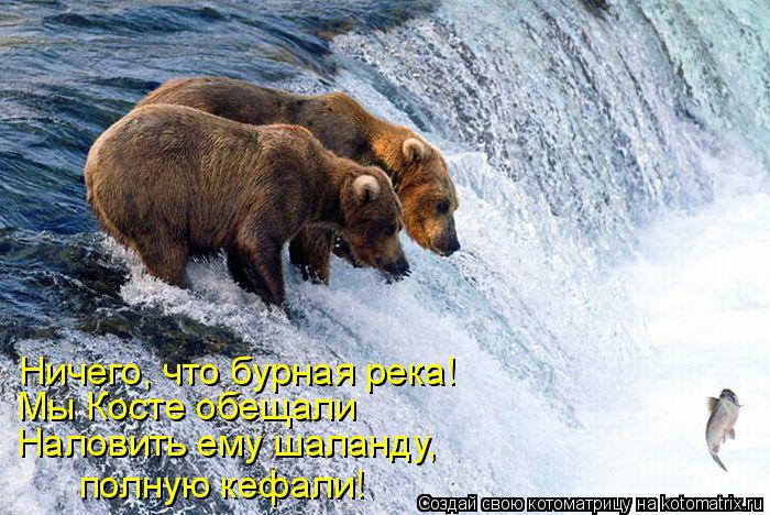 Котоматрица: Наловить ему шаланду, Мы Косте обещали Ничего, что бурная река! полную кефали!