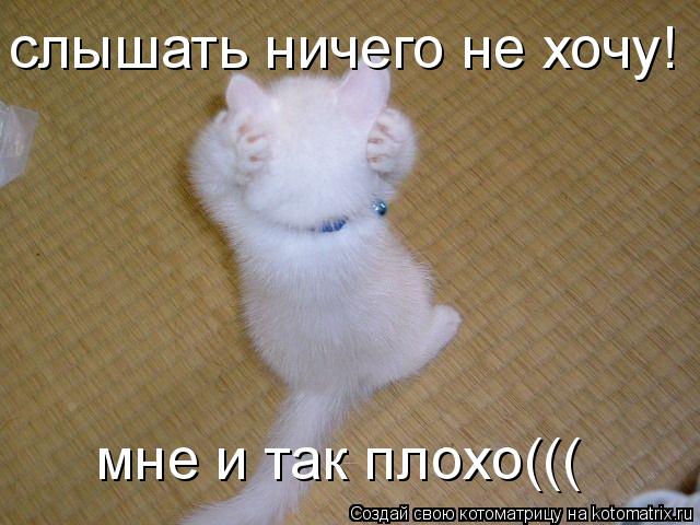 Котоматрица: слышать ничего не хочу! мне и так плохо(((
