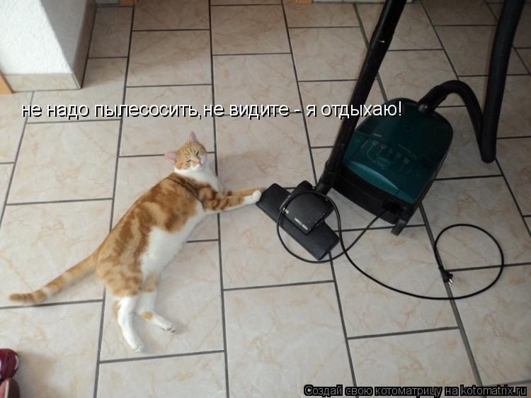 Котоматрица: не надо пылесосить,не видите - я отдыхаю!