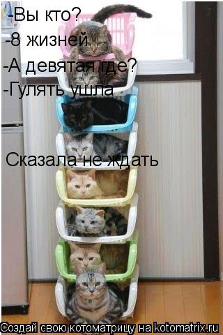 -Вы кто? -8 жизней -А девятая где? -Гулять ушла Сказала не ждать... Котоматрица: -Вы кто? -8 жизней -А девятая где? -Гулять ушла Сказала не ждать