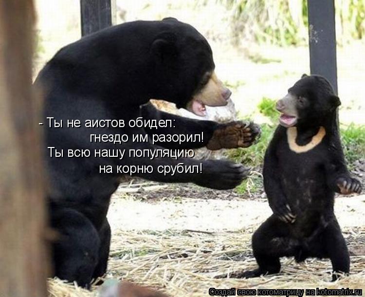 Котоматрица: - Ты не аистов обидел:  гнездо им разорил! Ты всю нашу популяцию на корню срубил!