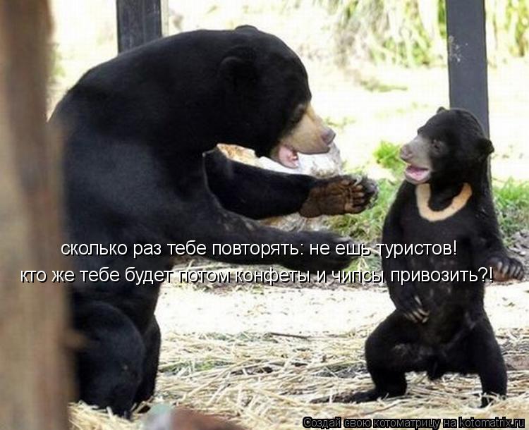 сколько раз тебе повторять: не ешь туристов! кто же тебе будет потом конфеты и чипсы привозить?!... Котоматрица: сколько раз тебе повторять: не ешь туристов! кто же тебе будет потом конфеты и чипсы привозить?!