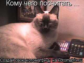 Кому чего посчитать ...... Котоматрица: Кому чего посчитать ...