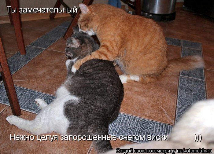 Ты замечательный ))) Нежно целуя запорошенные снегом виски... Котоматрица: Ты замечательный ))) Нежно целуя запорошенные снегом виски