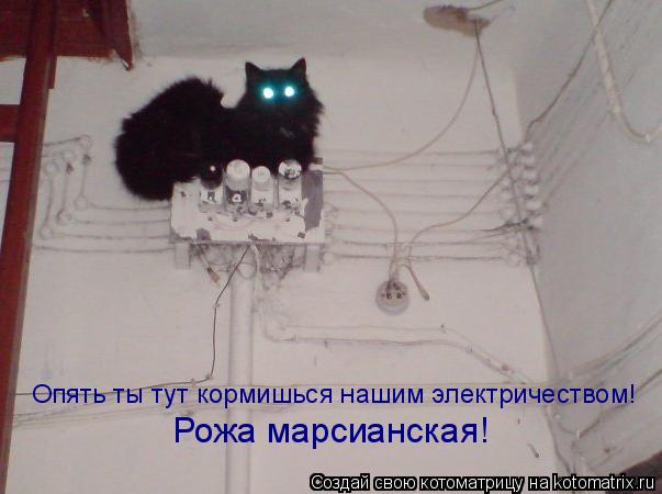 Опять ты тут кормишься нашим электричеством! Рожа марсианская!... Котоматрица: Опять ты тут кормишься нашим электричеством! Рожа марсианская!