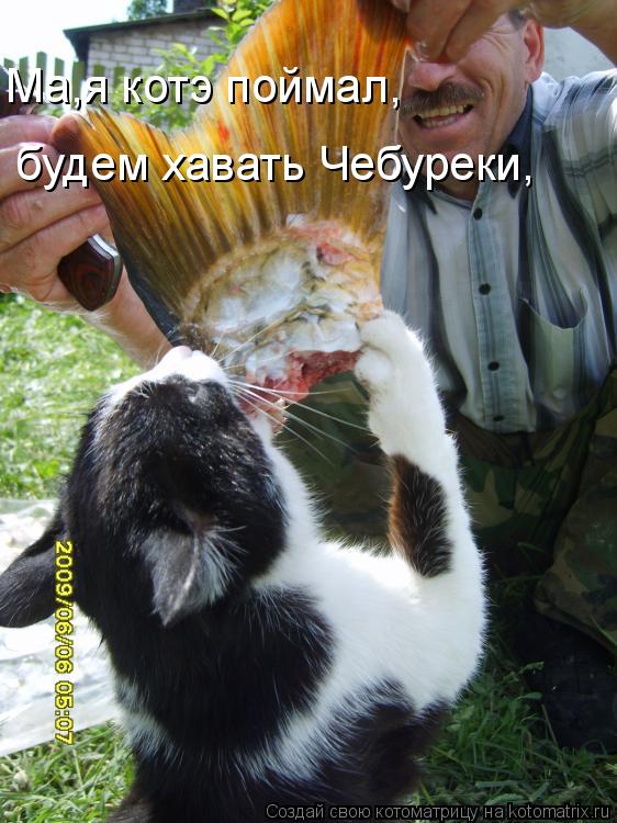 Ма,я котэ поймал,готовься,ща будем хавать чебуреки! Ма,я котэ поймал,готовься,ща будем хавать чебурек... Котоматрица: Ма,я котэ поймал,готовься,ща будем хавать чебуреки! Ма,я котэ поймал,готовься,ща будем хавать чебуреки! Ма,я котэ поймал,