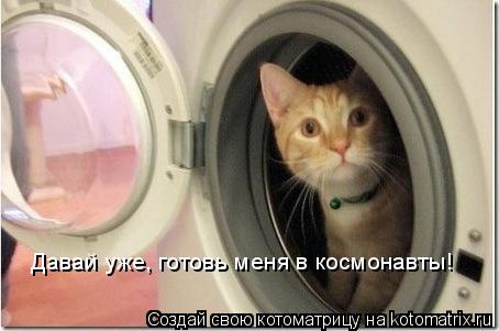 Давай уже, готовь меня в космонавты!... Котоматрица: Давай уже, готовь меня в космонавты!